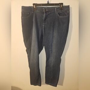 W62 Womans Petite Signature Fit Skinny Jeans Size 16
